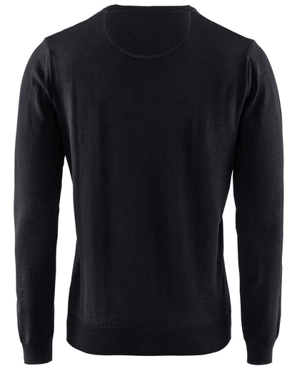 Wilton Merino V-Neck